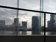 -白天鹅宾馆·月兔吧