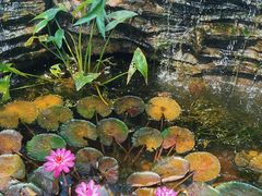 -国家植物园南园