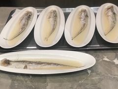 清蒸刀鱼-阳光海鲜城(太仓万达店)