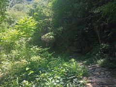 -老象峰