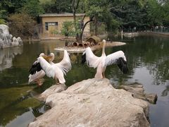 景点-昆明动物园