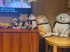 -大江户·温泉洗浴(浑南店)