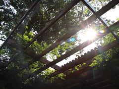 -静园(和平区)