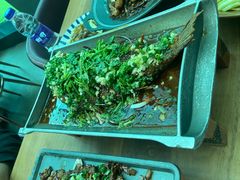 -树厨贵州菜(花果园购物中心店)