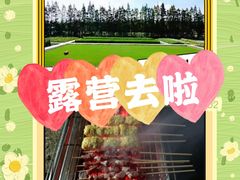 -前小桔亲子创意农场·草莓采摘·露营烧烤