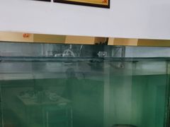 -源港渔村-中山脆肉鲩(博罗店)