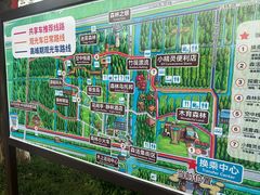 -黄海国家森林公园