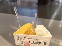 -野人先生现做冰淇淋(北京王府井东方新天地店)
