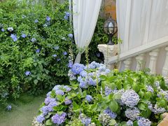 -Lamant Manor已闻花名关於蓝
