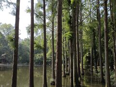 -波尔登森林公园