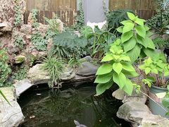 -谷咖啡·鲜花绿植花园餐厅
