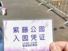 -嘉定紫藤园
