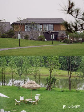 南京周边游自驾1h就能到去森林里吸吸氧