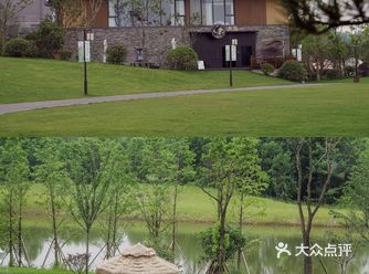 南京周边游自驾1h就能到去森林里吸吸氧