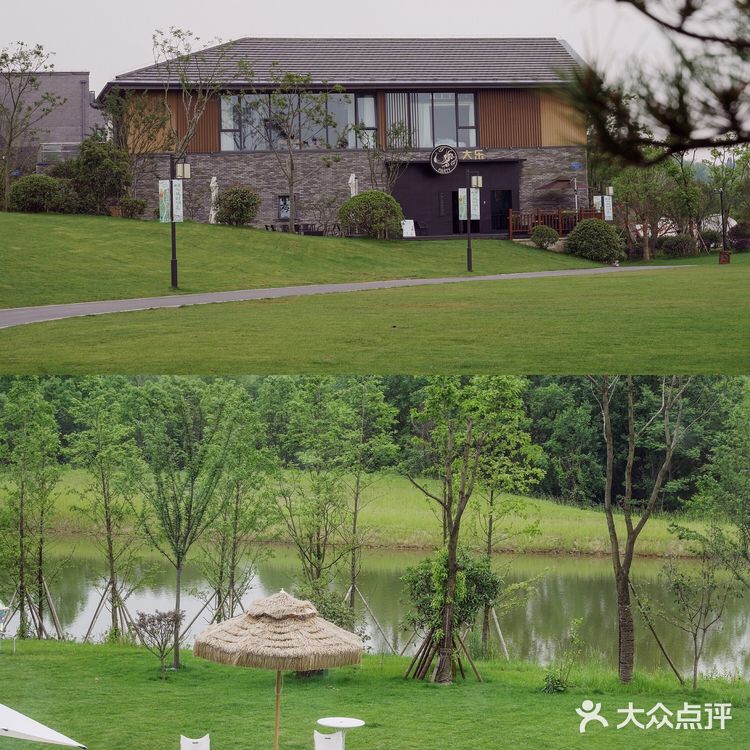 南京周边游🌳自驾1h就能到🚙去森林里吸吸氧