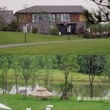 南京周边游🌳自驾1h就能到🚙去森林里吸吸氧