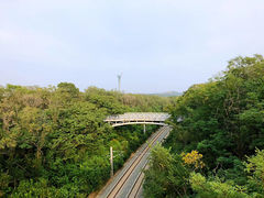 -沈阳植物园
