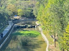 -白水寺森林公园