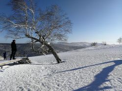 -大秃顶子山