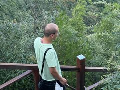 -大岭沟猕猴桃谷风景区