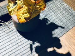 -boundaries籬苑(瑞光创意工厂-贰号院店)
