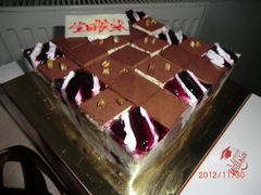 CIMG1584-维尔纳斯·生日蛋糕动物奶油冰淇淋蛋糕(人大店)