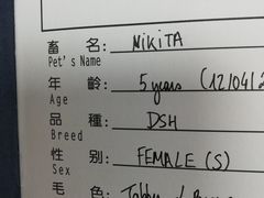 -申普宠物医院·心脏介入·心血管微创(总院)