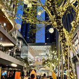 川菜館探店 2024.11.09