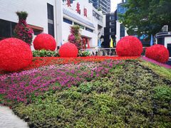 -聚春园自助餐厅(东街口店)