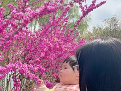 -白塘生态植物园