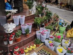 -云洲古玩城(大木桥路店)