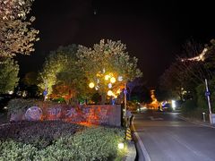 -天目湖御水温泉·度假酒店