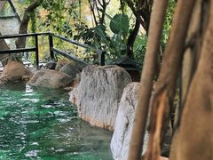 -湖泉半山温泉