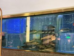 水产区-顺峰顺水顺德菜(龙华店)