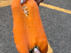 -聂发财重庆江湖菜(解放碑店)