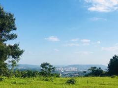 -铁山坪森林公园