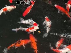 -新荣记(西溪湿地店)