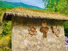 -海南热带雨林国家公园吊罗山景区