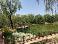 -燕郊植物园