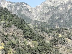 -泰山风景名胜区