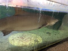 -鸿通城购物中心