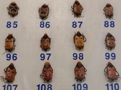 -上海大自然野生昆虫馆(东方明珠·爬宠昆虫探索中心)
