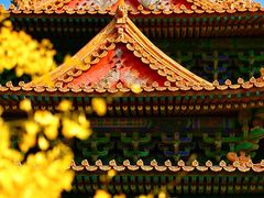 -故宫博物院(故宫)
