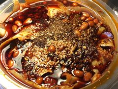 精品肺片-红星兔丁(东风大桥店)
