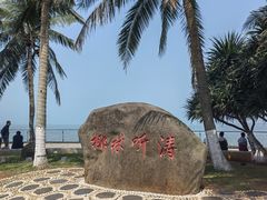 -万绿园