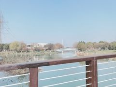 -九里河湿地公园