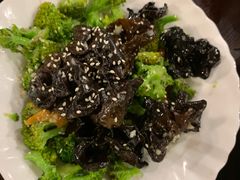 -熊猫川菜馆 panda chine