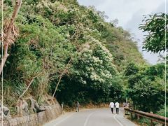 -梧桐山风景名胜区