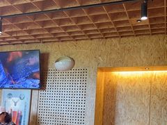 -蒙料·手把肉(望京店)