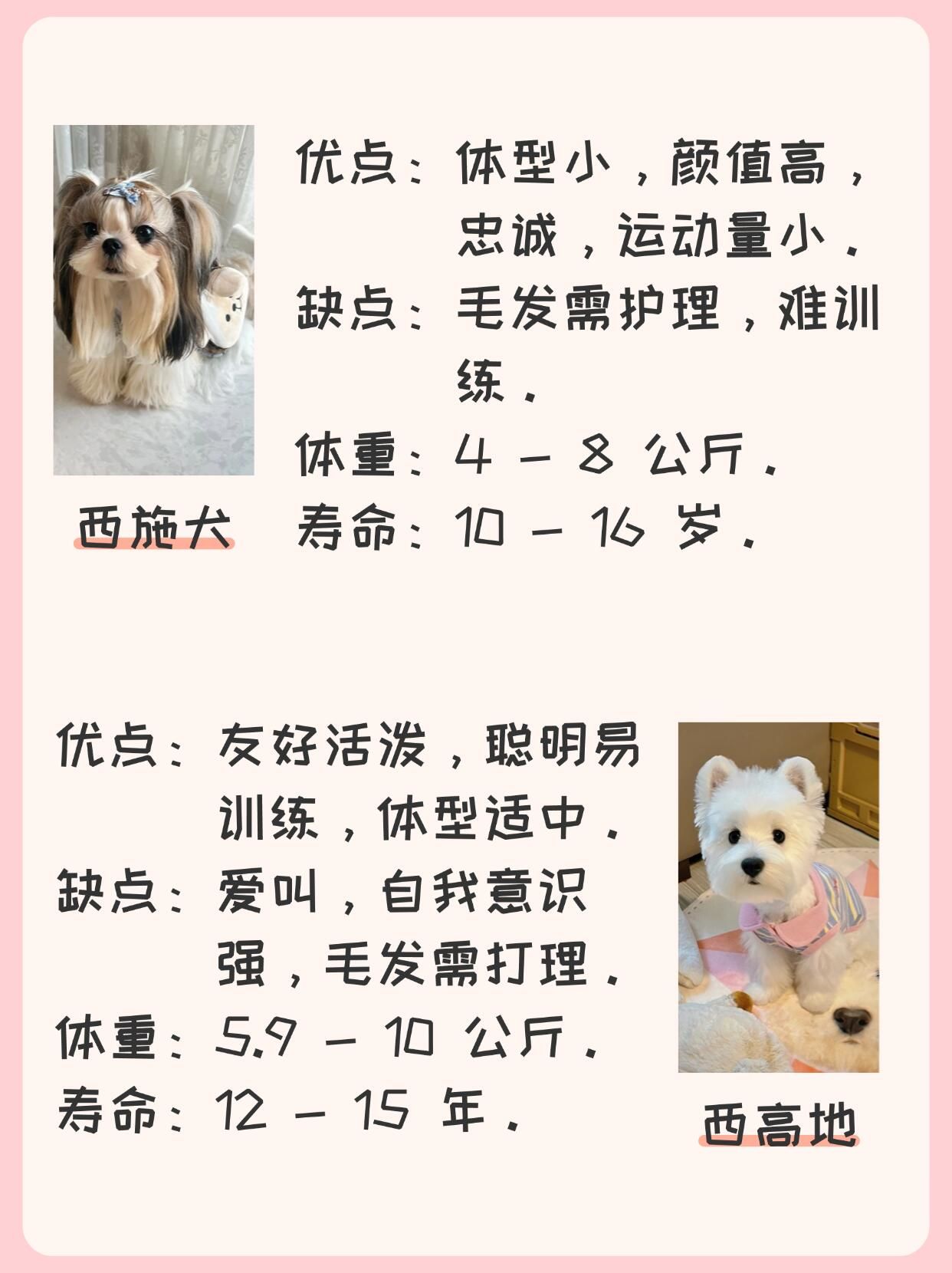 宠物开店创业哈希娱乐- 哈希游戏平台- 哈希游戏官方网站计划书